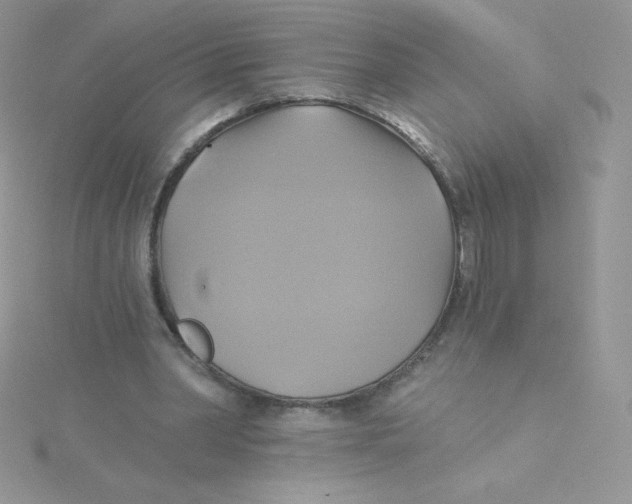 X0000115330390200911231416