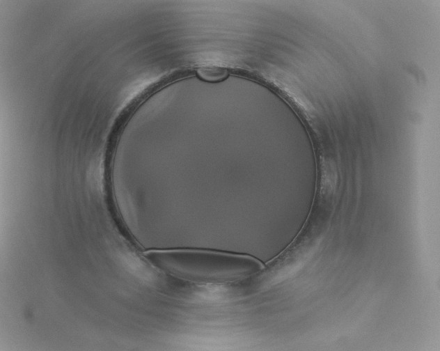 X0000115330391200911231416