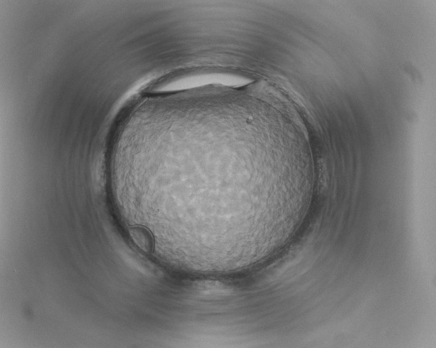 X0000115330392200911231416