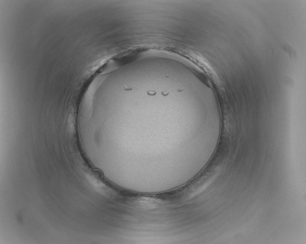 X0000115330393200911231416