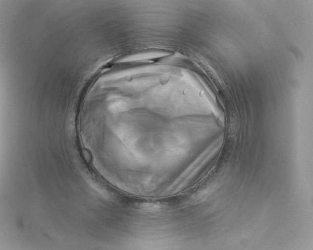 X0000115330394200911231416