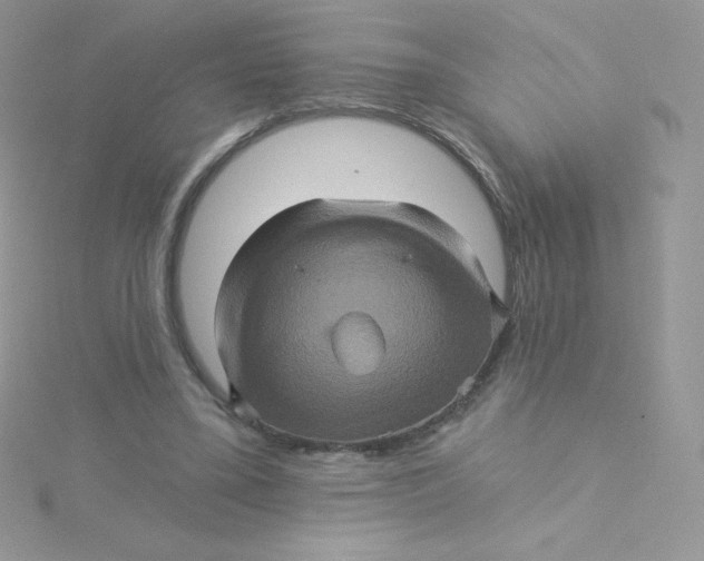 X0000115330395200911231416