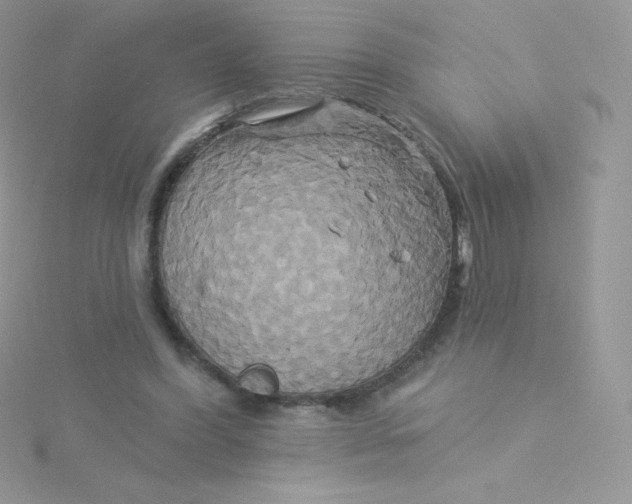 X0000115330396200911231416