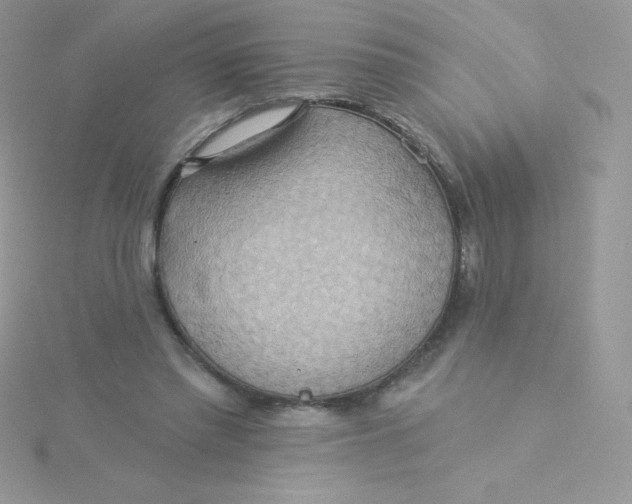 X0000115330397200911231416