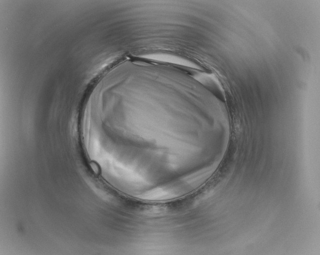 X0000115330398200911231416