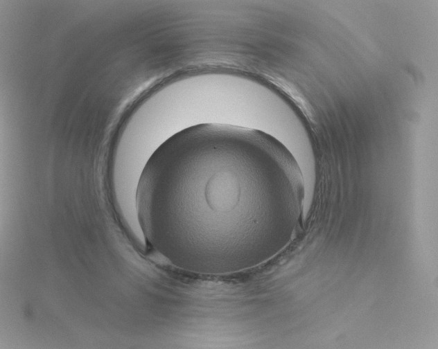 X0000115330399200911231416