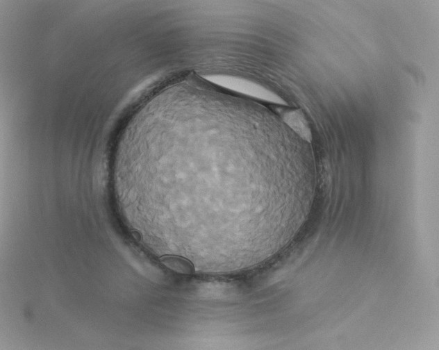 X0000115330400200911231416