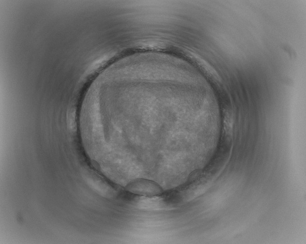 X0000115330403200911231416