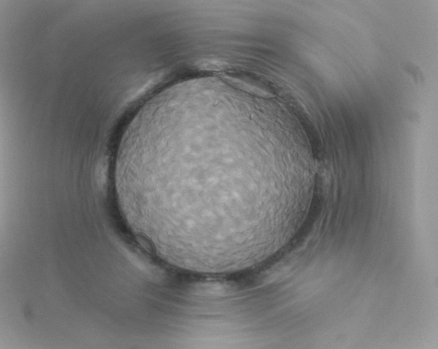 X0000115330404200911231416