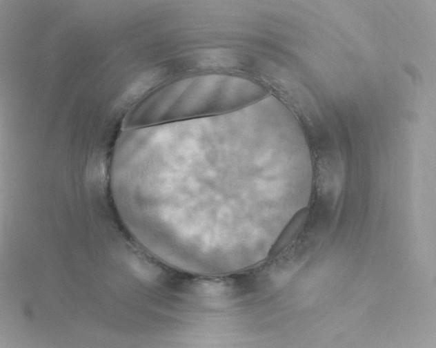 X0000115330405200911231416