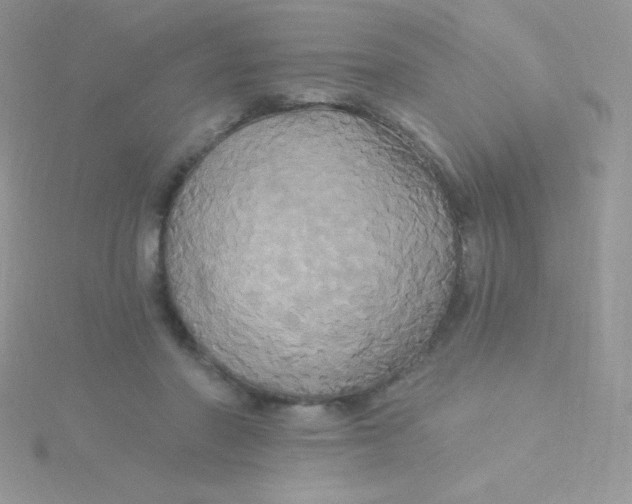 X0000115330406200911231416