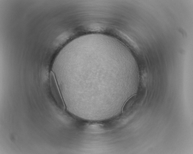 X0000115330407200911231416