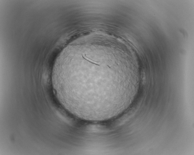 X0000115330408200911231416