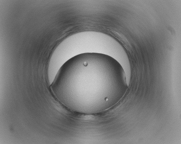 X0000115330409200911231416