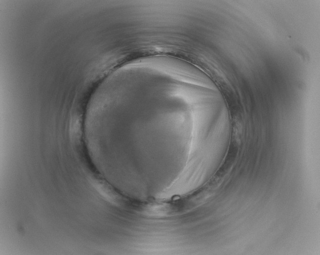 X0000115330410200911231416