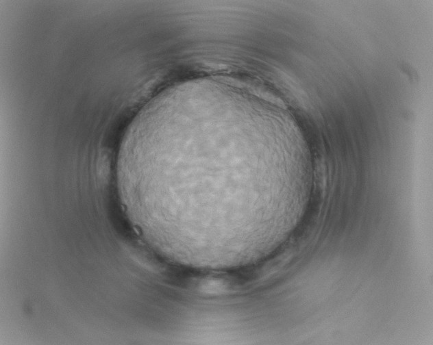 X0000115330412200911231416