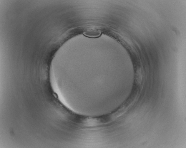 X0000115330413200911231416