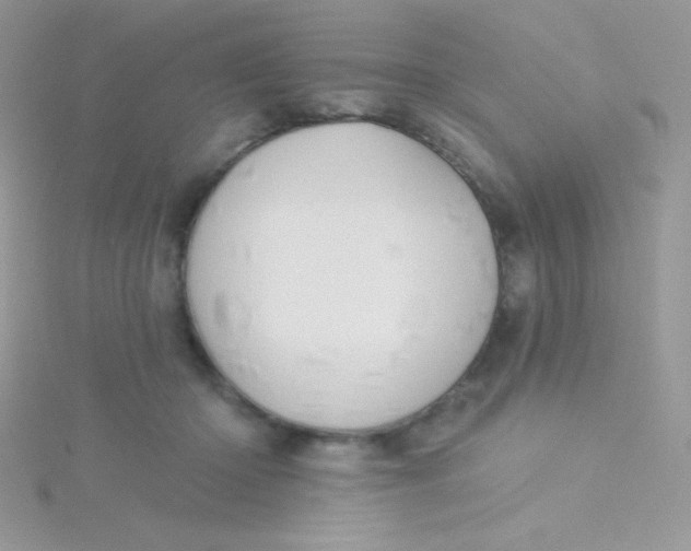 X0000115330414200911231416