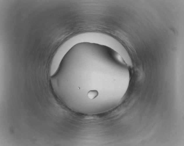 X0000115330415200911231416