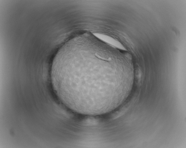 X0000115330416200911231416