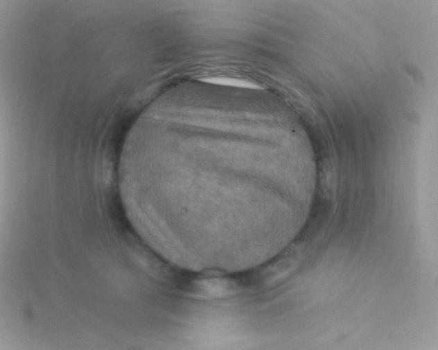 X0000115330417200911231416