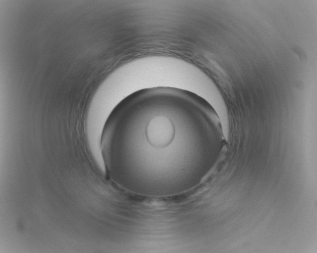 X0000115330419200911231416