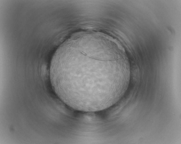 X0000115330420200911231416