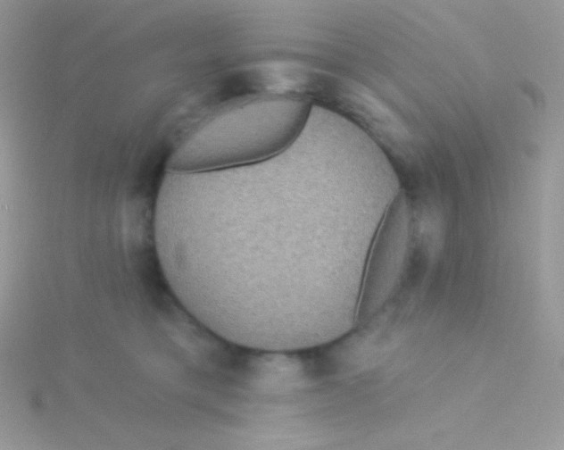 X0000115330421200911231416