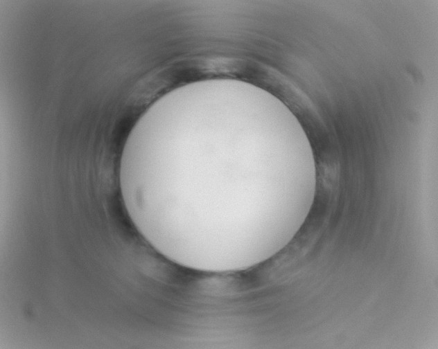 X0000115330422200911231416