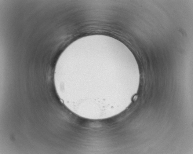 X0000115330423200911231416