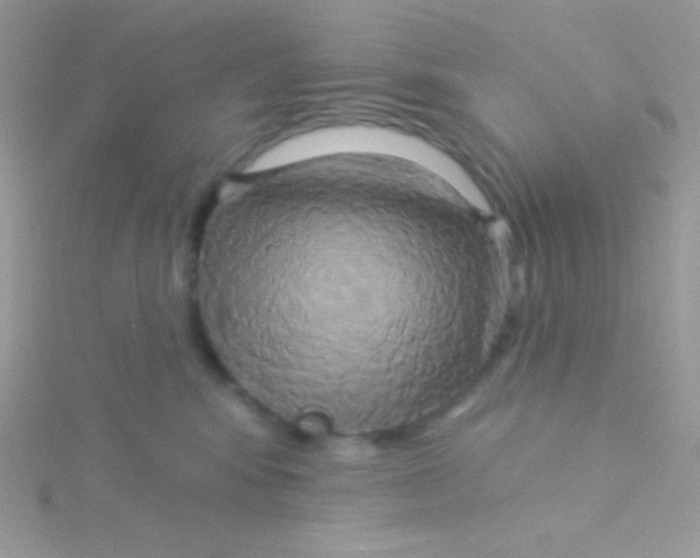 X0000115330424200911231416