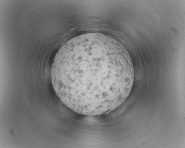 X0000115330425200911231416