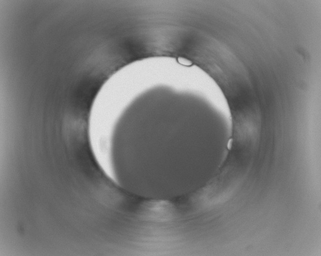 X0000115330427200911231416