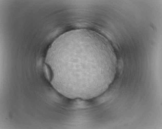 X0000115330428200911231416