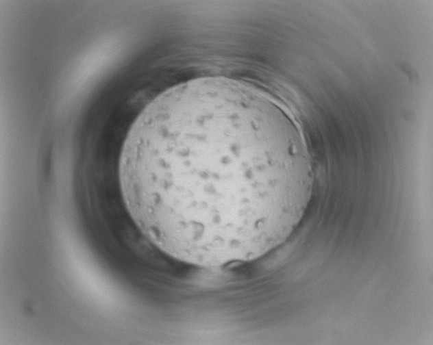 X0000115330429200911231416