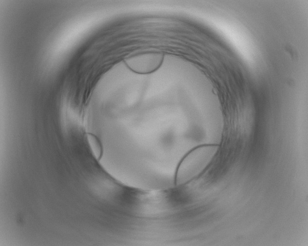 X0000115330431200911231416