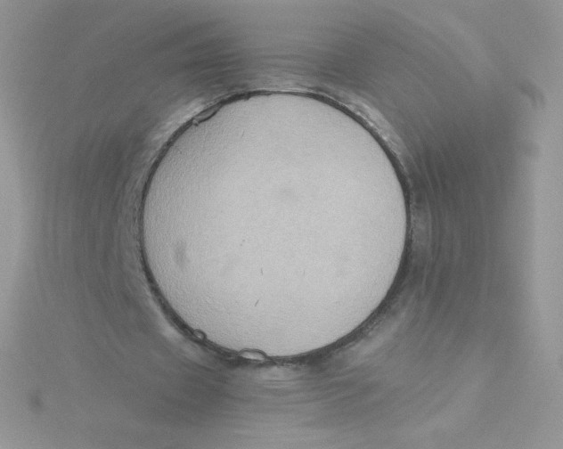 X0000115330433200911231415