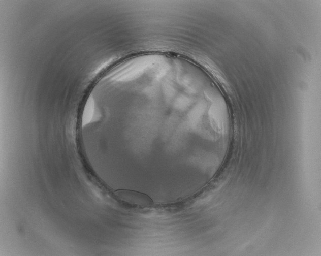 X0000115330434200911231415