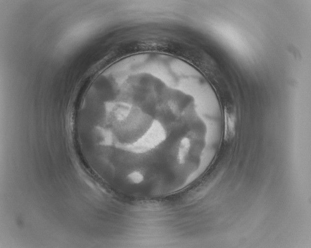 X0000115330435200911231415