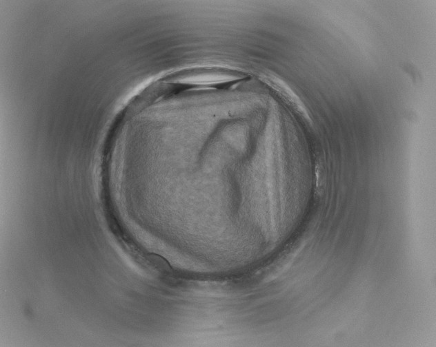 X0000115330436200911231415