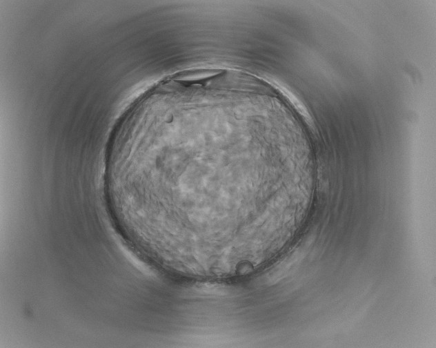 X0000115330437200911231415