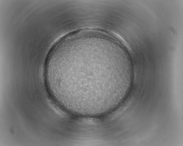 X0000115330439200911231415