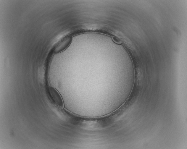 X0000115330440200911231415