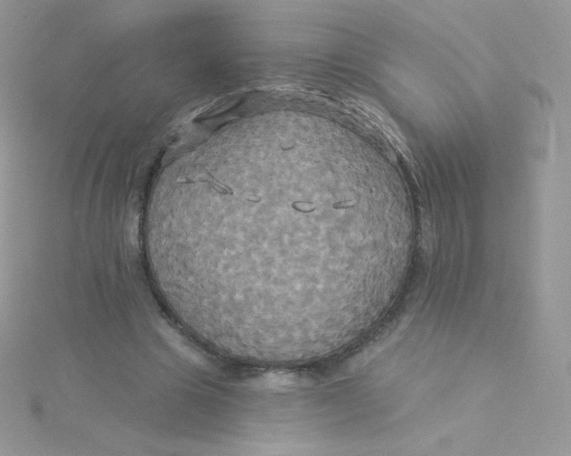 X0000115330441200911231415