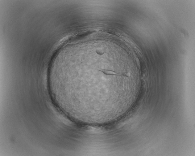 X0000115330442200911231415