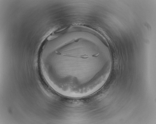 X0000115330443200911231415