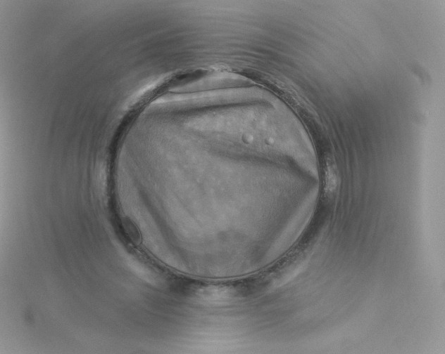 X0000115330444200911231415