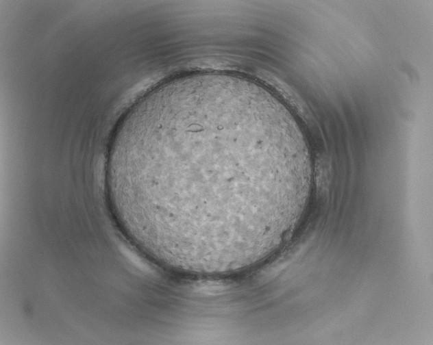 X0000115330445200911231415