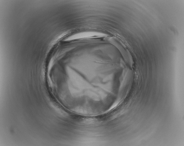 X0000115330446200911231415