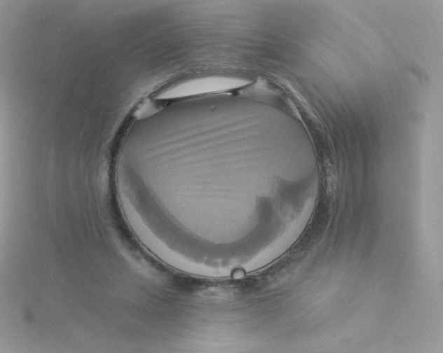 X0000115330447200911231415